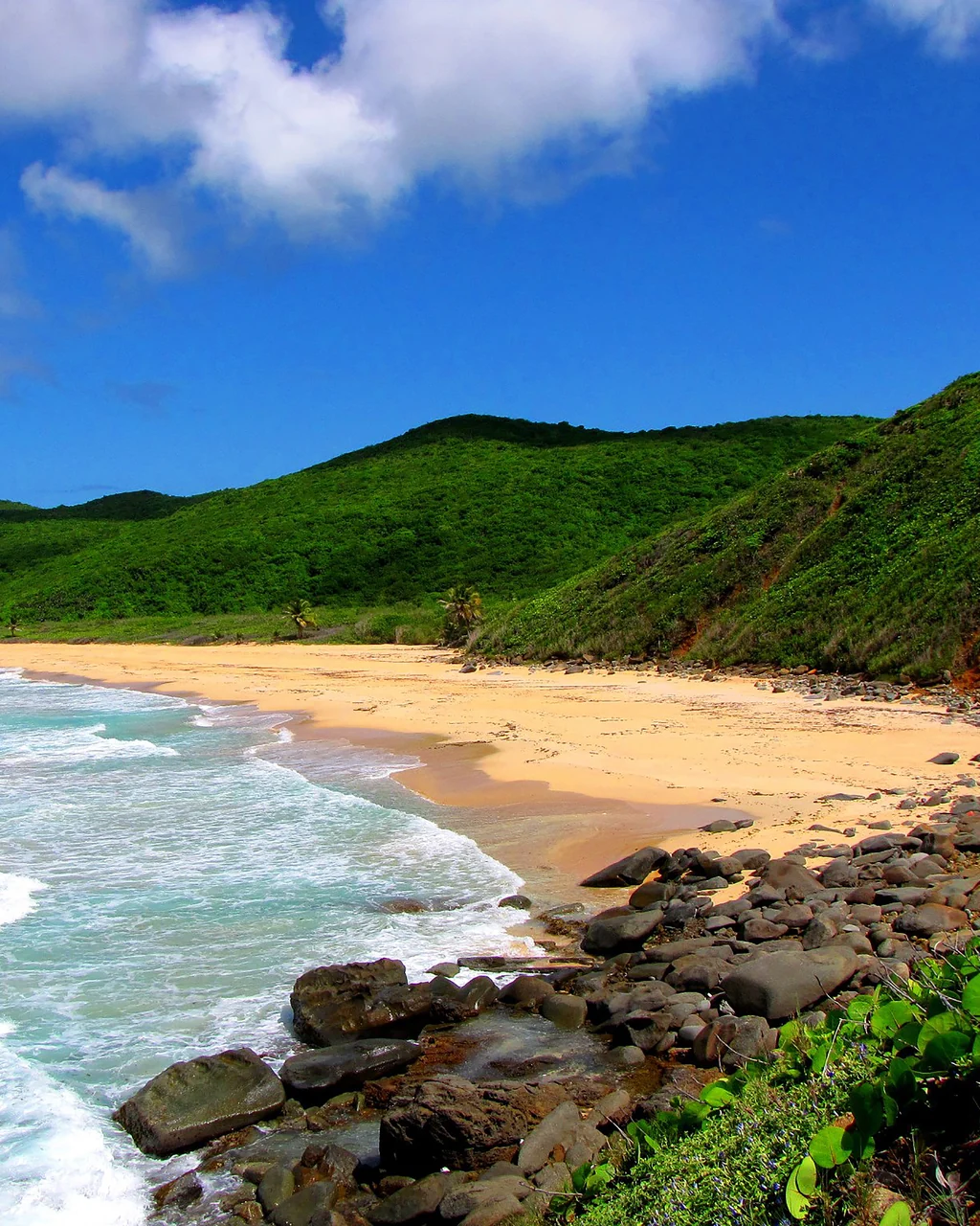 Beach and vegetated hills at Culebra National Wildlife Refuge